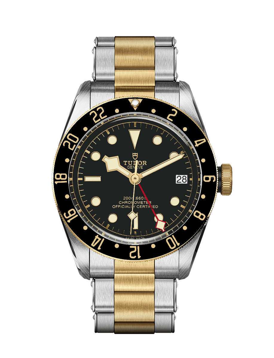 The Tudor Black Bay GMT S&G prediction