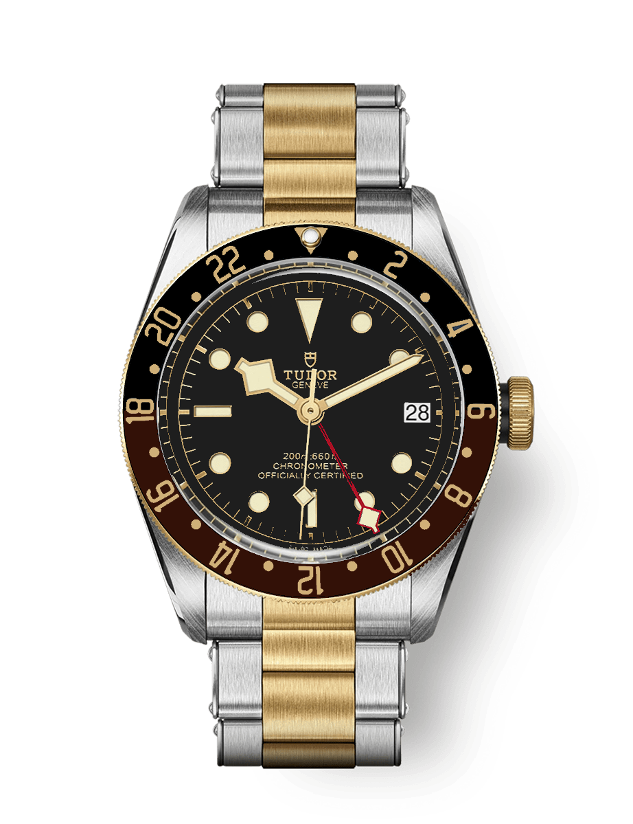 The Tudor Black Bay GMT S&G prediction